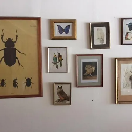 Vakantiehuis Chez Le Roi Du Bois Ottre