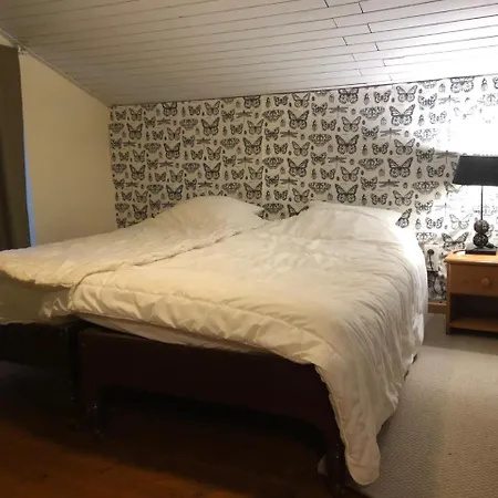 Chez Le Roi Du Bois Ottré
